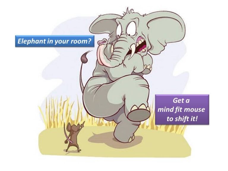 Elephant-in-the-room